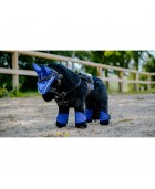 Mini bonnet PONY ACADEMY