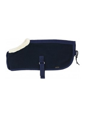 Mini couverture PONY ACADEMY