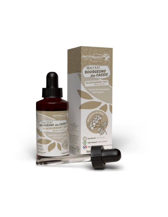 Macérat de bourgeons HORSE MASTER "Cassis"