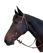 Bridon FLAGS&CUP "Freedom"