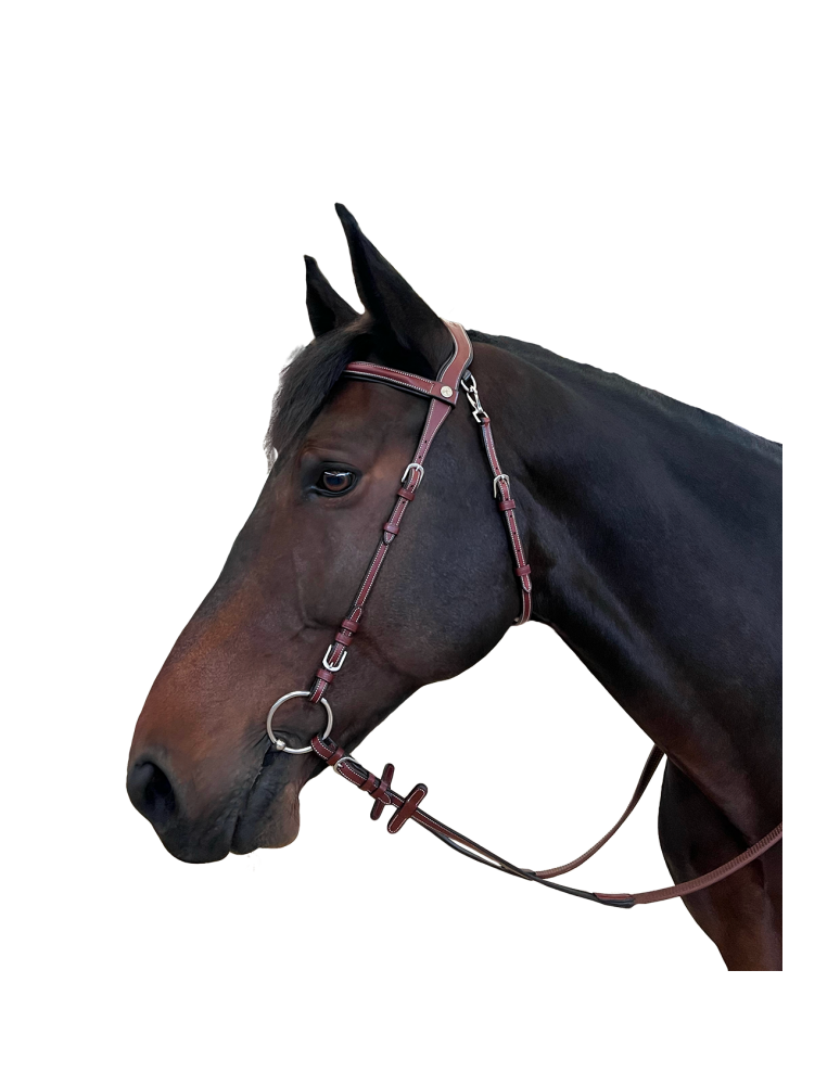 Bridon FLAGS&CUP "Freedom"