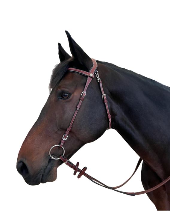 Bridon FLAGS&CUP "Freedom"