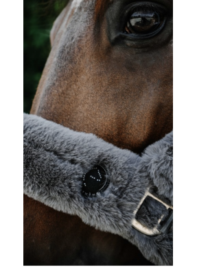 Licol Je t'aime EQUITHÈME - Snuggy