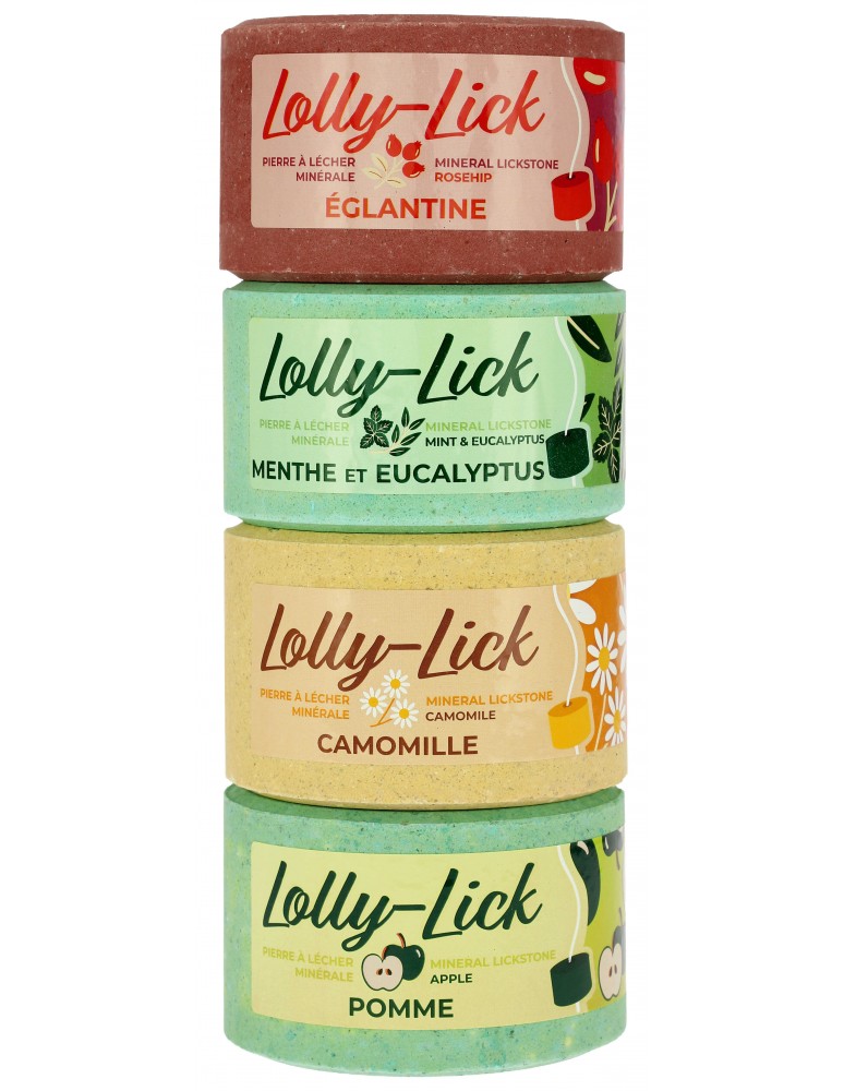 Pierre à sel HIPPOTONIC - LOLLY-LICK