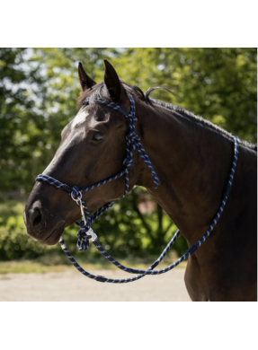 Licol en corde Aubree QHP...