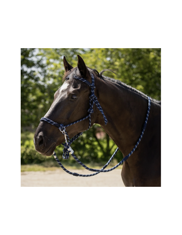Licol en corde Aubree QHP avec rênes