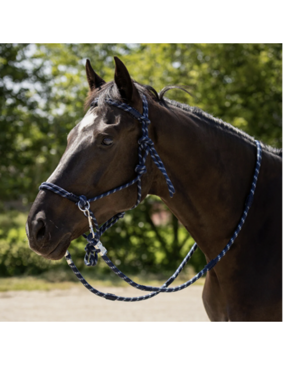 Licol en corde Aubree QHP avec rênes