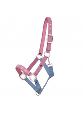 Licol QHP "Rosalynn"