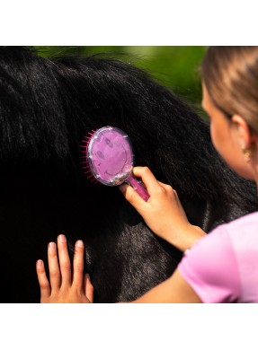 Brosse crins QHP ROSALYN