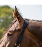 Panier muselière nylon QHP mouton