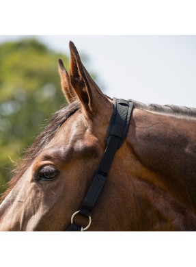 Panier muselière nylon QHP mouton