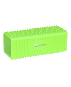 Brosse ramasse-poils WALDHAUSEN