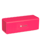 Brosse ramasse-poils WALDHAUSEN