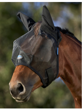 Masque anti mouches...