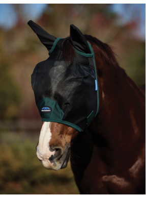 Masque anti mouches...