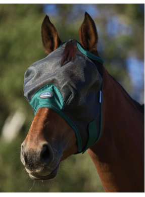 Masque anti mouches...