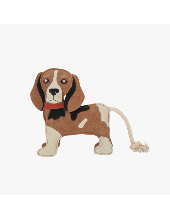 Jouet chien QHP "3D" Buddy