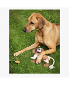 Jouet chien QHP "3D" Buddy