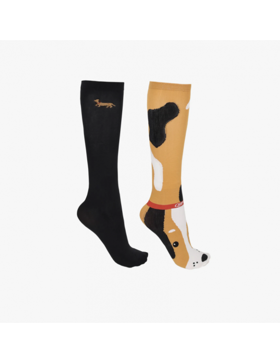 Chaussettes QHP Stable Buddy (lot de 2)