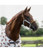 Duo licol et longe Stable buddy