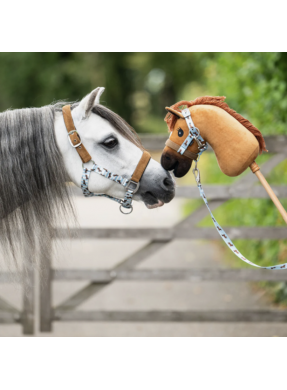 Duo licol et longe Stable buddy