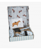 Coffret de pansage Stable buddy QHP