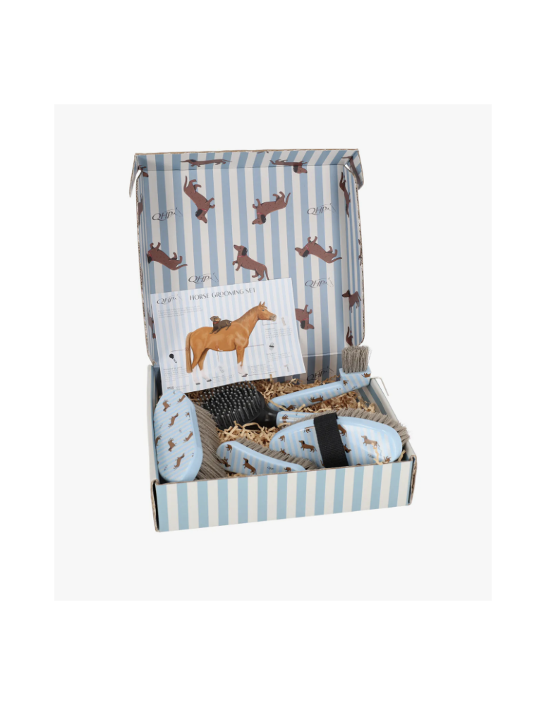 Coffret de pansage Stable buddy QHP