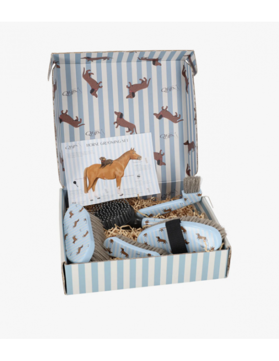 Coffret de pansage Stable buddy QHP