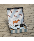 Coffret de pansage Stable buddy QHP