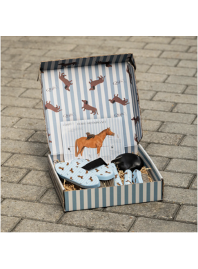 Coffret de pansage Stable buddy QHP