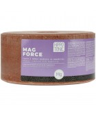 Pierre à sel Mag force