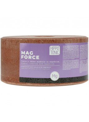Pierre à sel Mag force