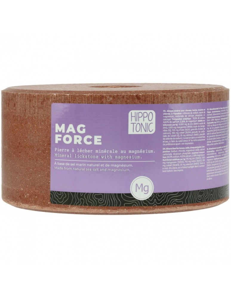 Pierre à sel Mag force