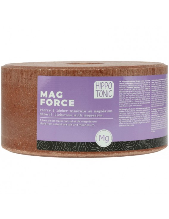 Pierre à sel Mag force