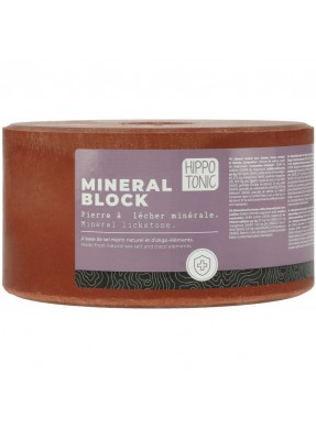 Pierre à sel Mineral block