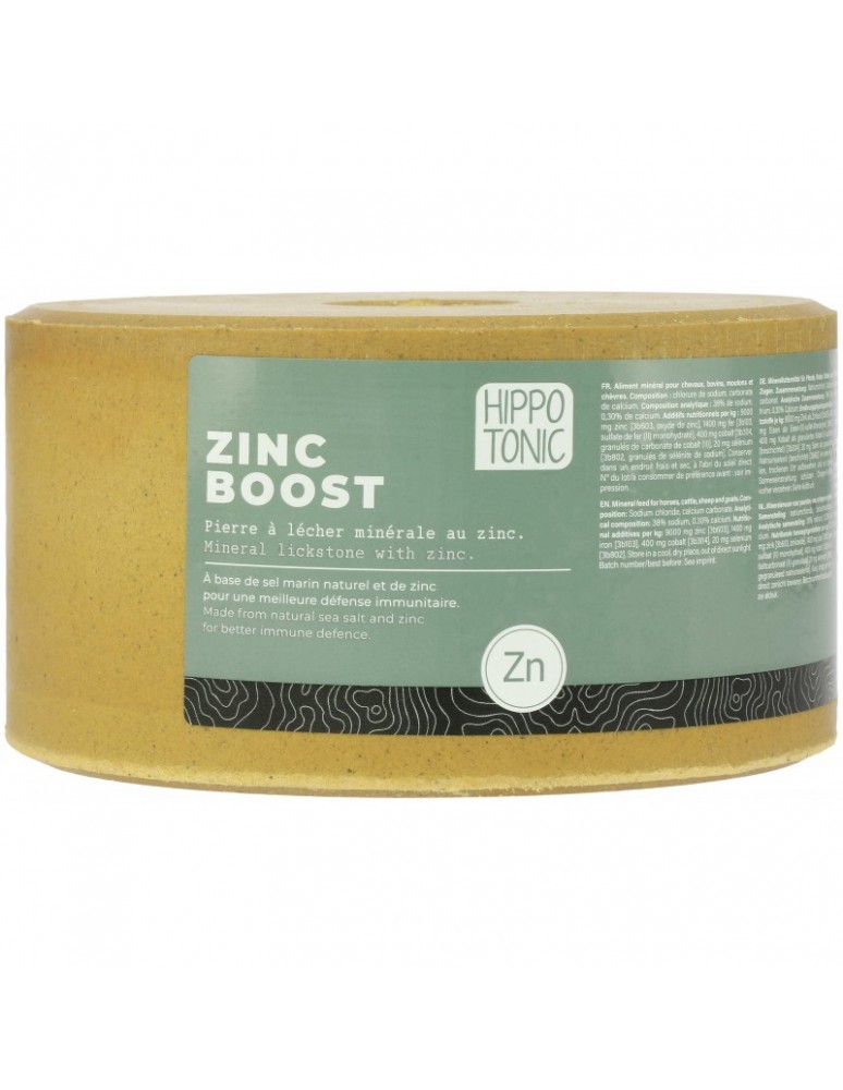 Pierre à sel Zinc Boost