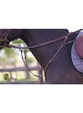 Collier de chasse New Pro...