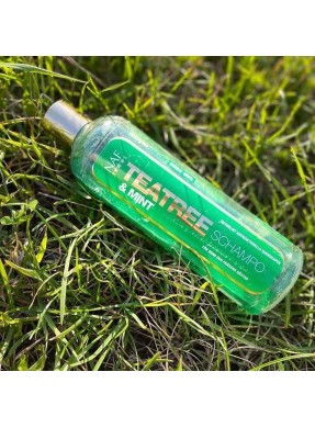 Shampoing NAF - Teatree & Mint Shampoo