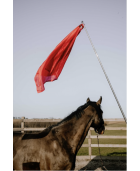 Drapeau de désensibilisation HIPPOTONIC - Télescopique