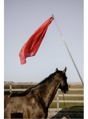 Drapeau de désensibilisation HIPPOTONIC - Télescopique