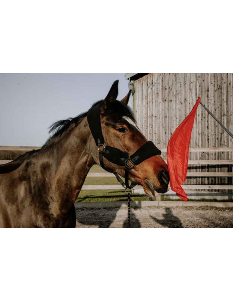 Drapeau de désensibilisation HIPPOTONIC - Télescopique