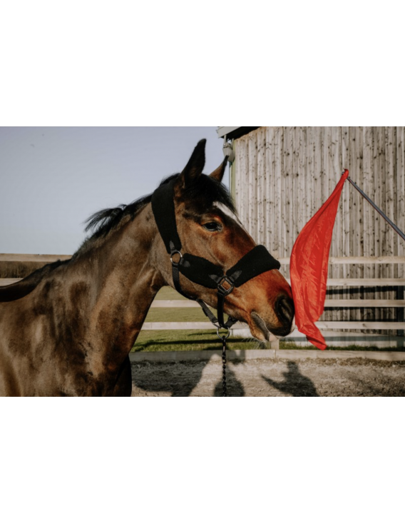 Drapeau de désensibilisation HIPPOTONIC - Télescopique