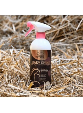 Easy Shine édition limitée 20 ans