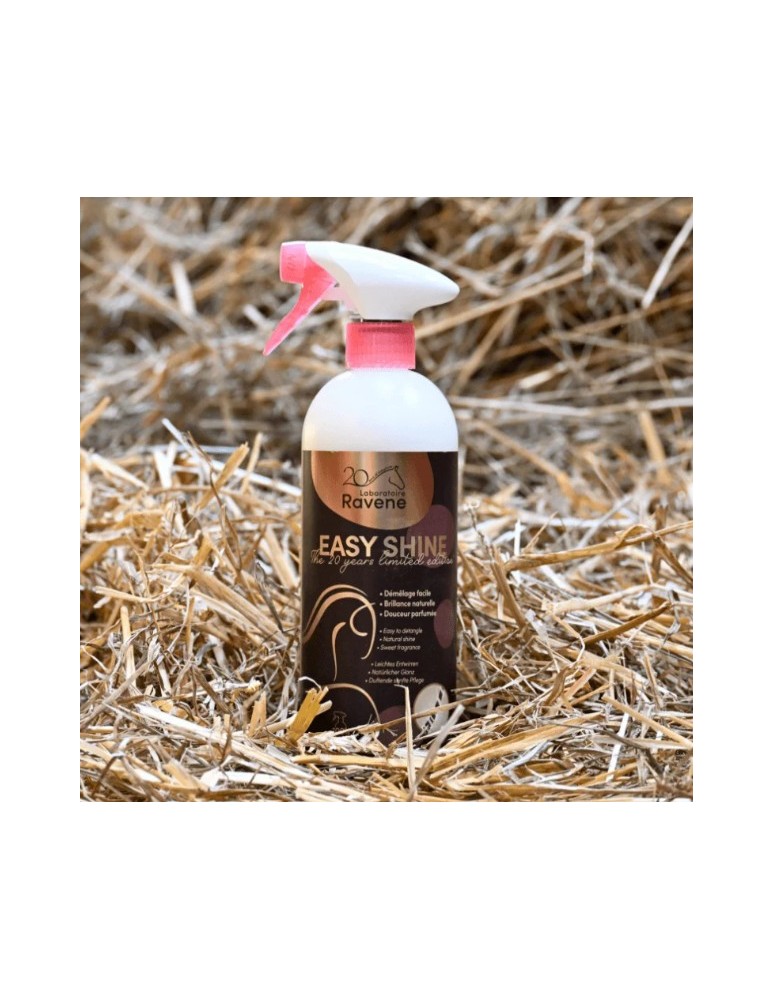 Easy Shine édition limitée 20 ans