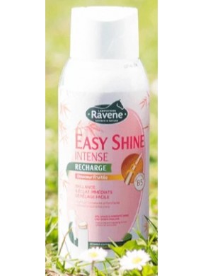 Recharge démêlant spray RAVENE "Easy Shine Intense"