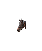 Bridon CANTER "VALEGRO"