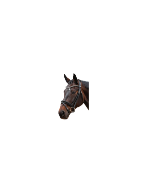 Bridon CANTER "VALEGRO"