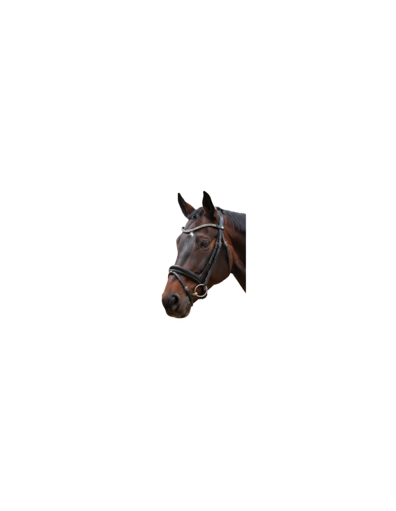 Bridon CANTER "VALEGRO"