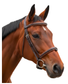 Bridon Bombé 1/2 Rond CANTER VAGABOND