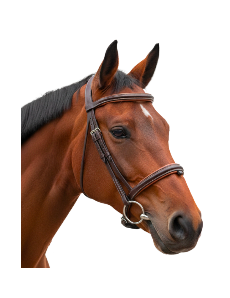 Bridon Bombé 1/2 Rond CANTER VAGABOND